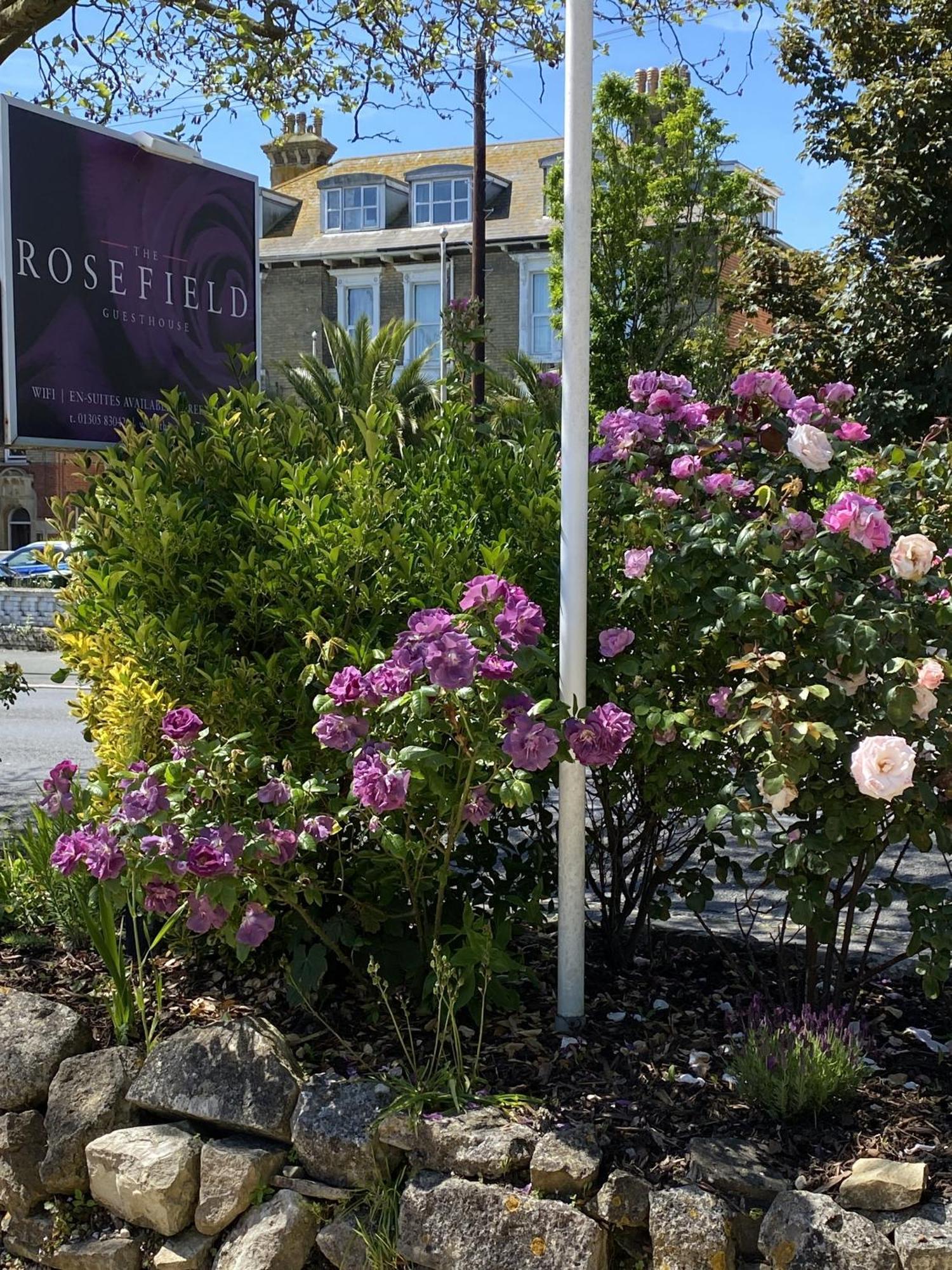 The Rosefield Hotel Weymouth Kültér fotó